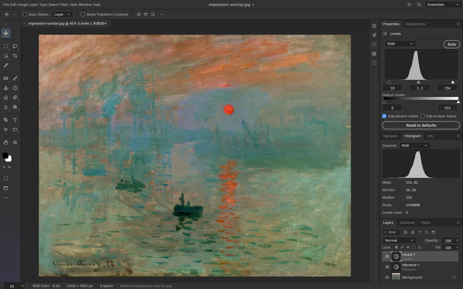 The AI PS Online editor applying a Levels adjustment with a live histogram